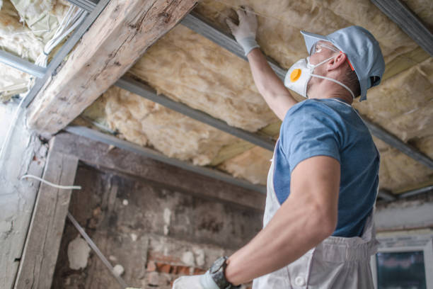 Best Residential Insulation in Wollochet, WA